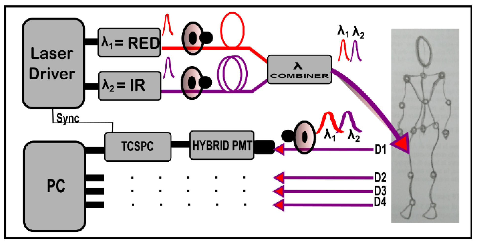 Sensors 23 00196 g001 Sensors 23 00196 g001