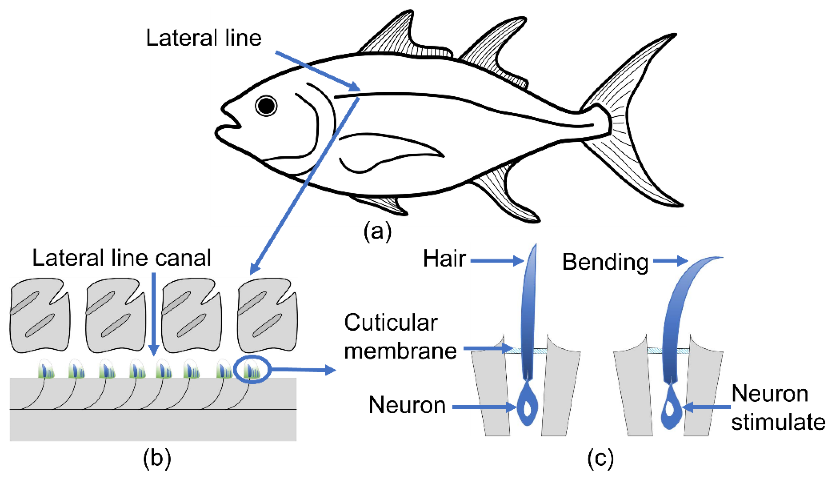 Sensors 23 00234 g001 Sensors 23 00234 g001