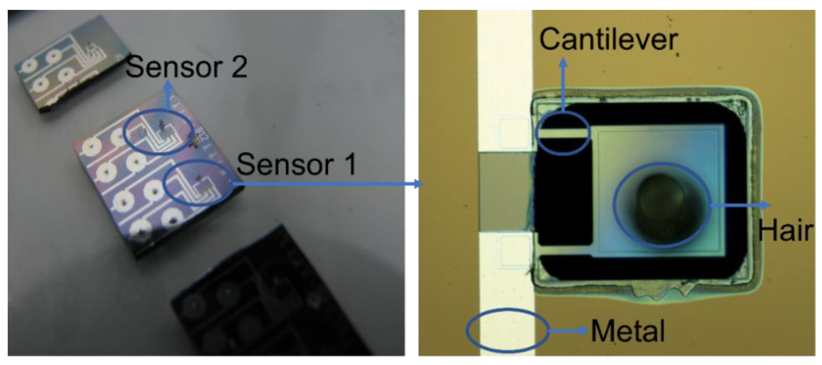 Sensors 23 00234 g006 Sensors 23 00234 g006