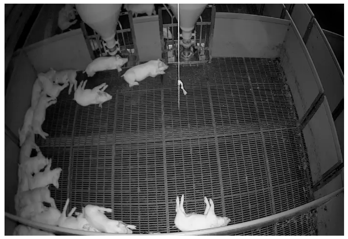 Sensors 23 00238 g005 Sensors 23 00238 g005