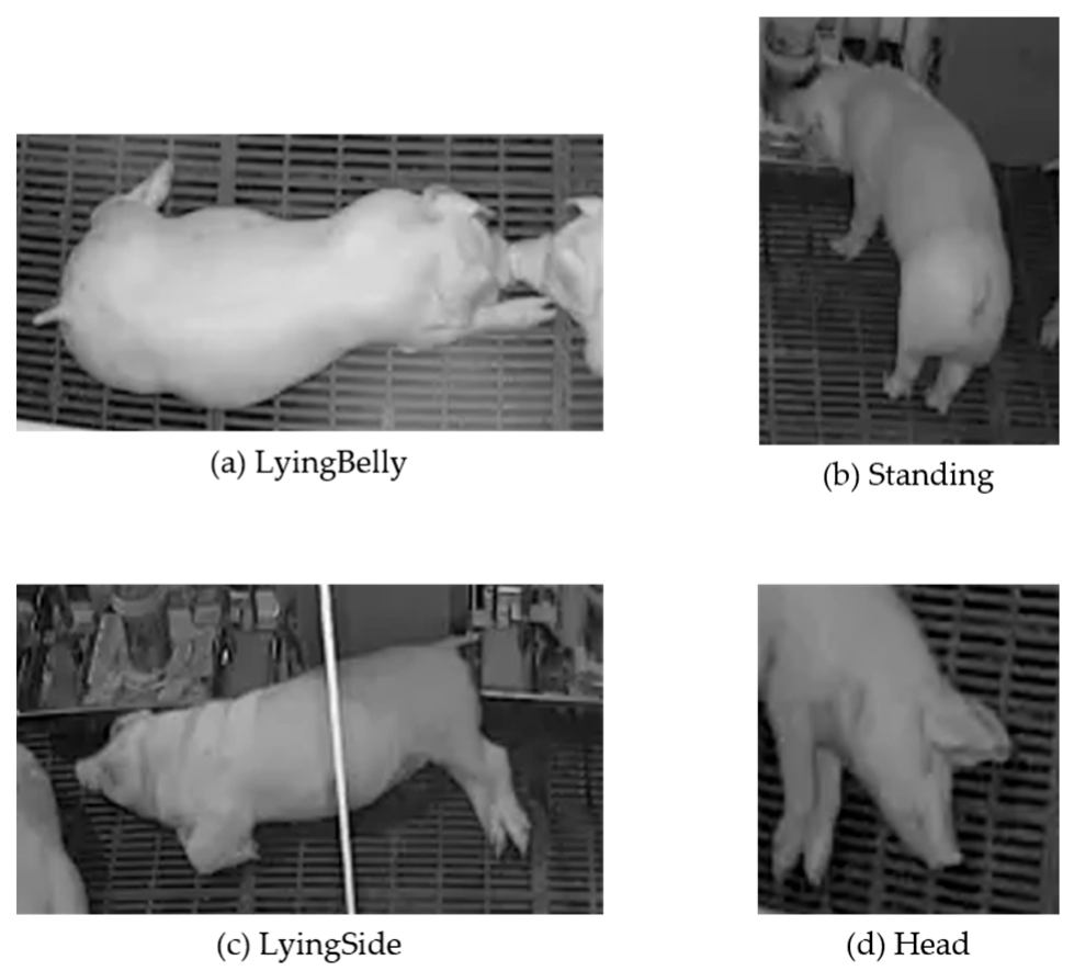 Sensors 23 00238 g007 Sensors 23 00238 g007