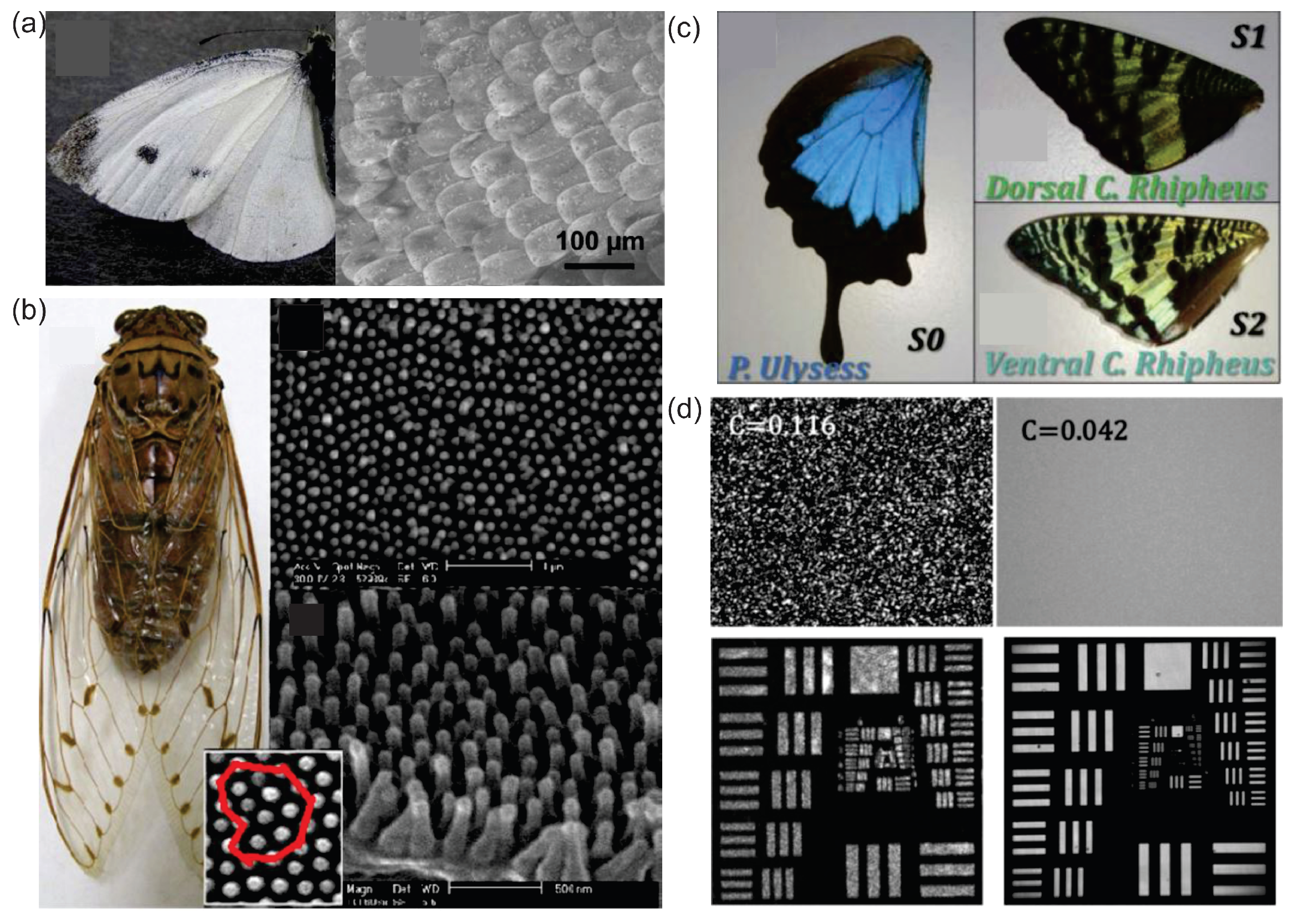 Sensors 23 00247 g005 Sensors 23 00247 g005