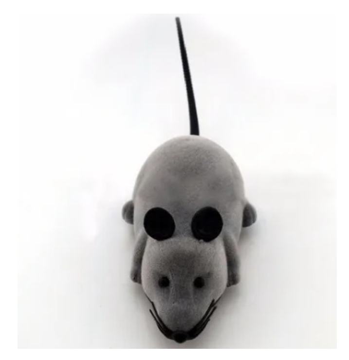 Sensors 23 00288 g019