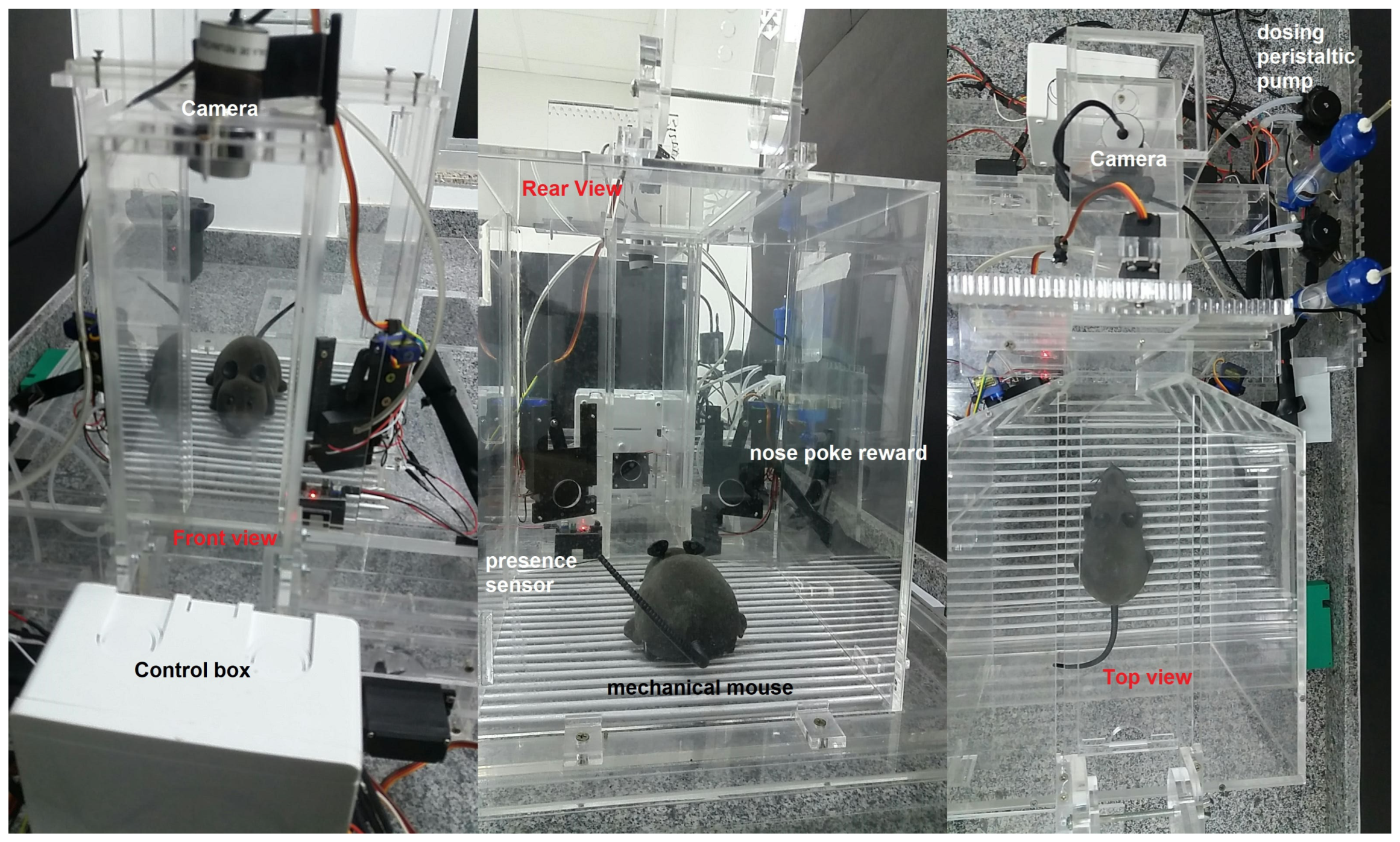 Sensors 23 00288 g020