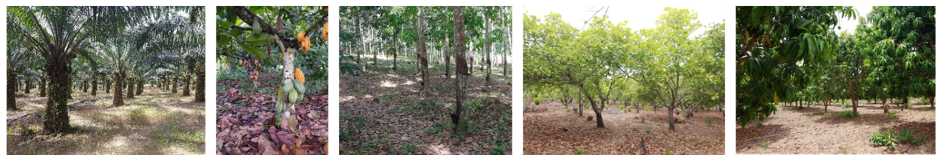 Sensors 23 00349 g002