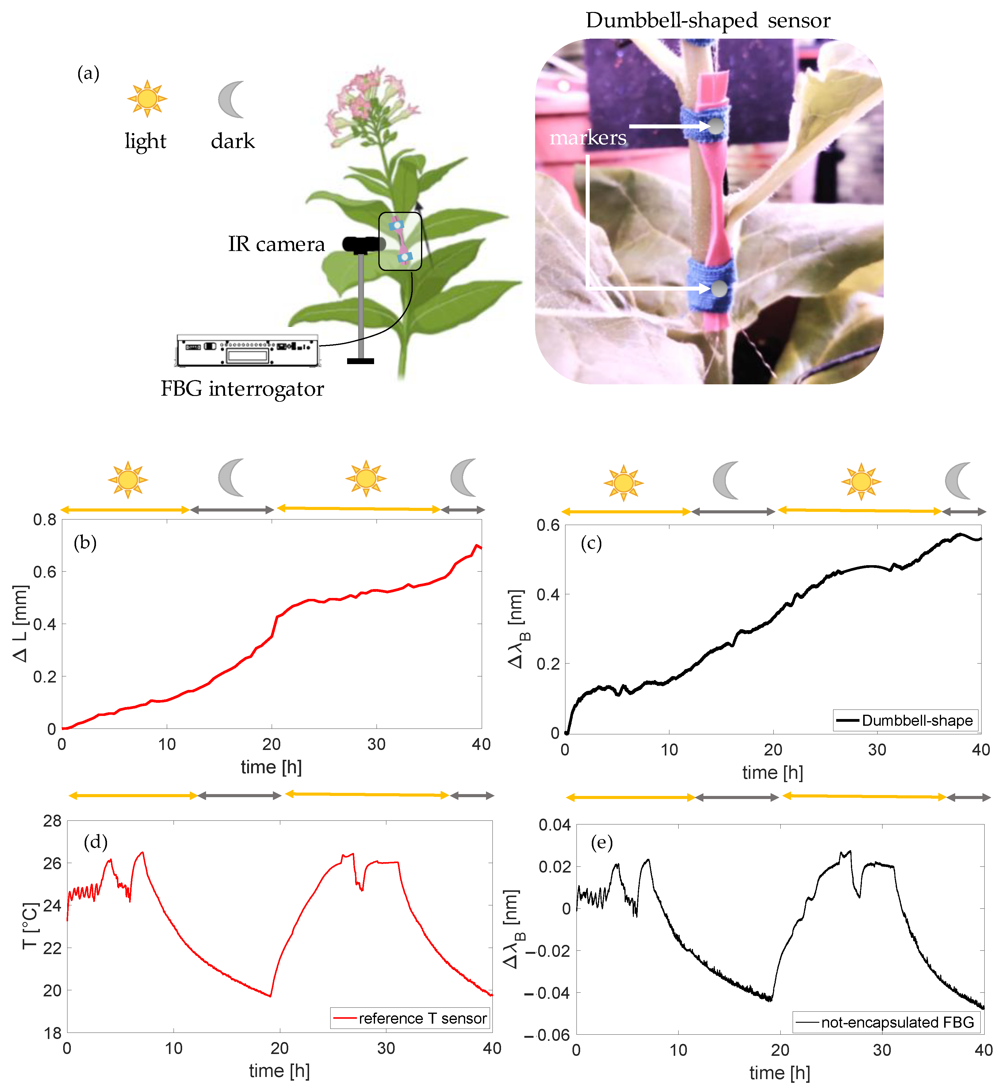 Sensors 23 00361 g009 Sensors 23 00361 g009