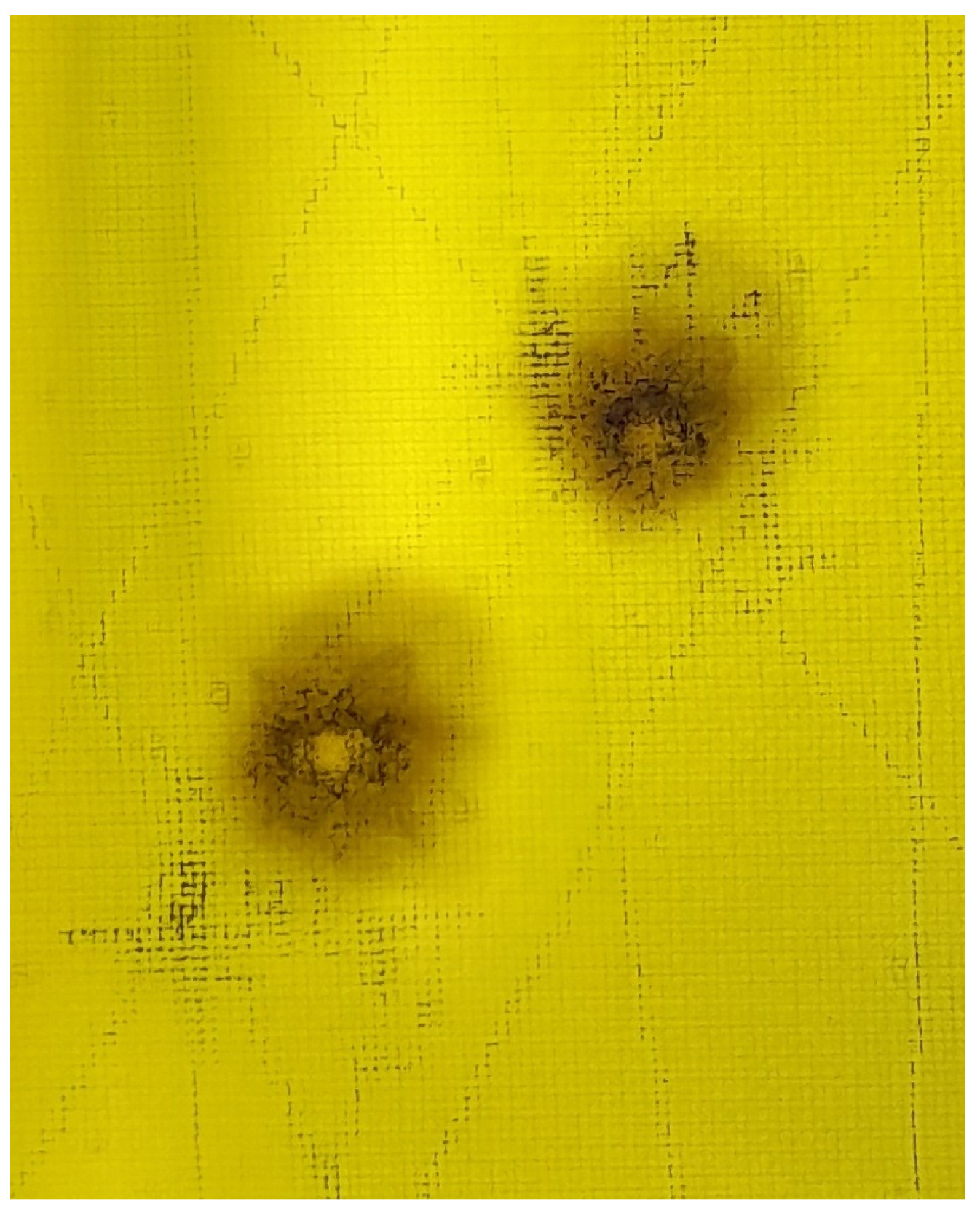 Sensors 23 00369 g005