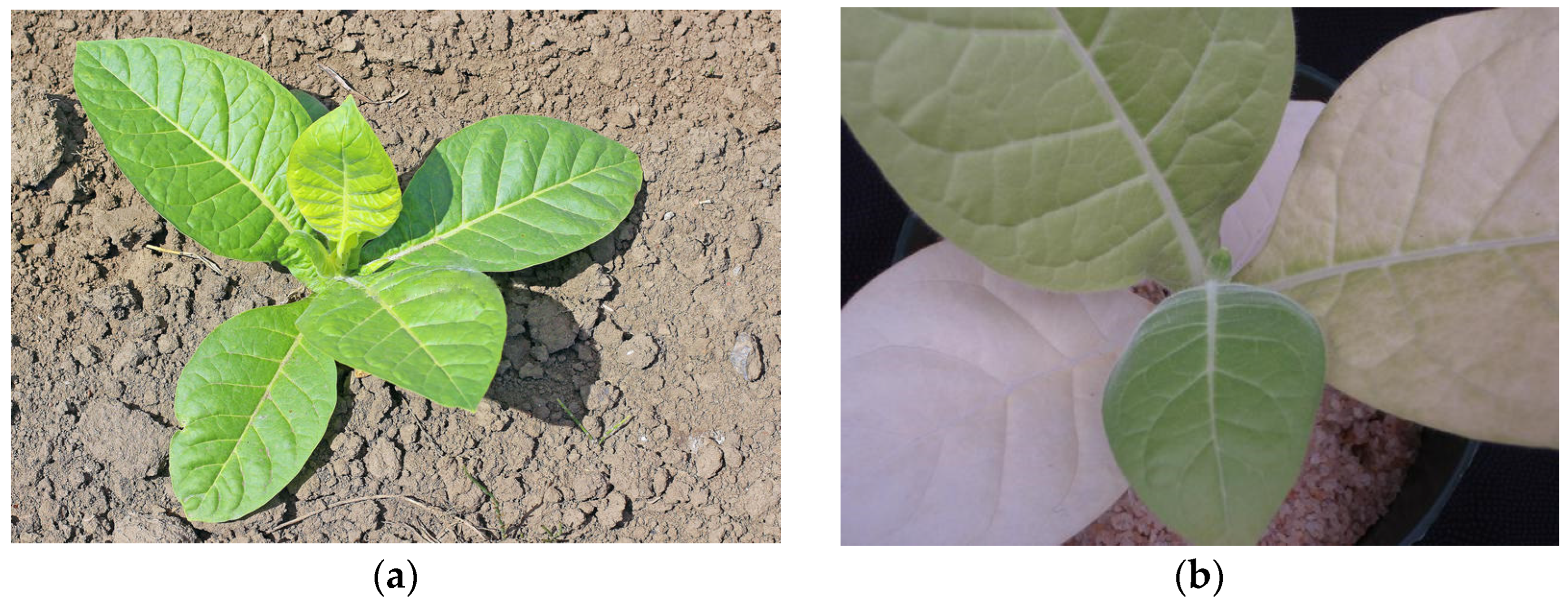 Sensors 23 00403 g002