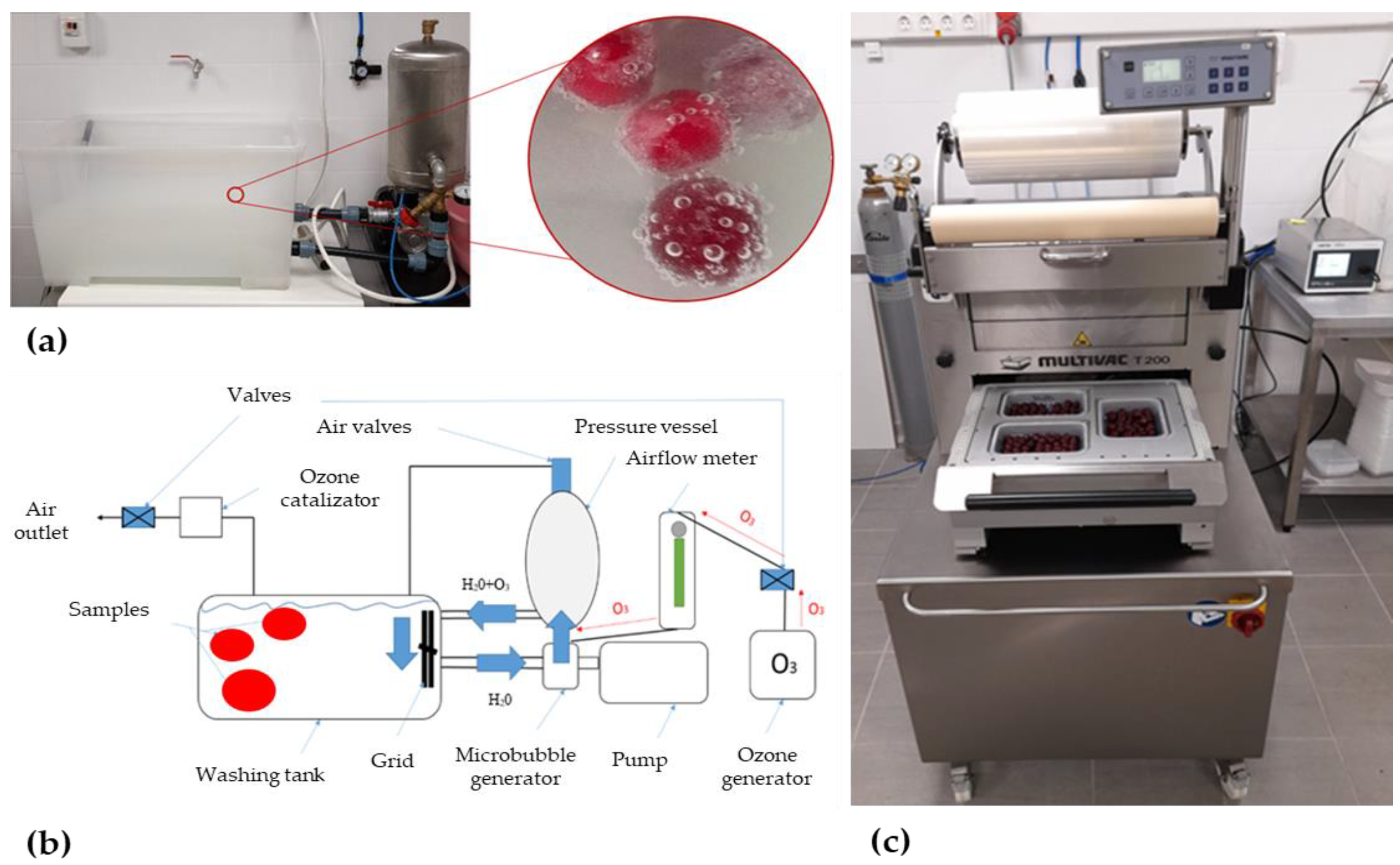 Sensors 23 00479 g001