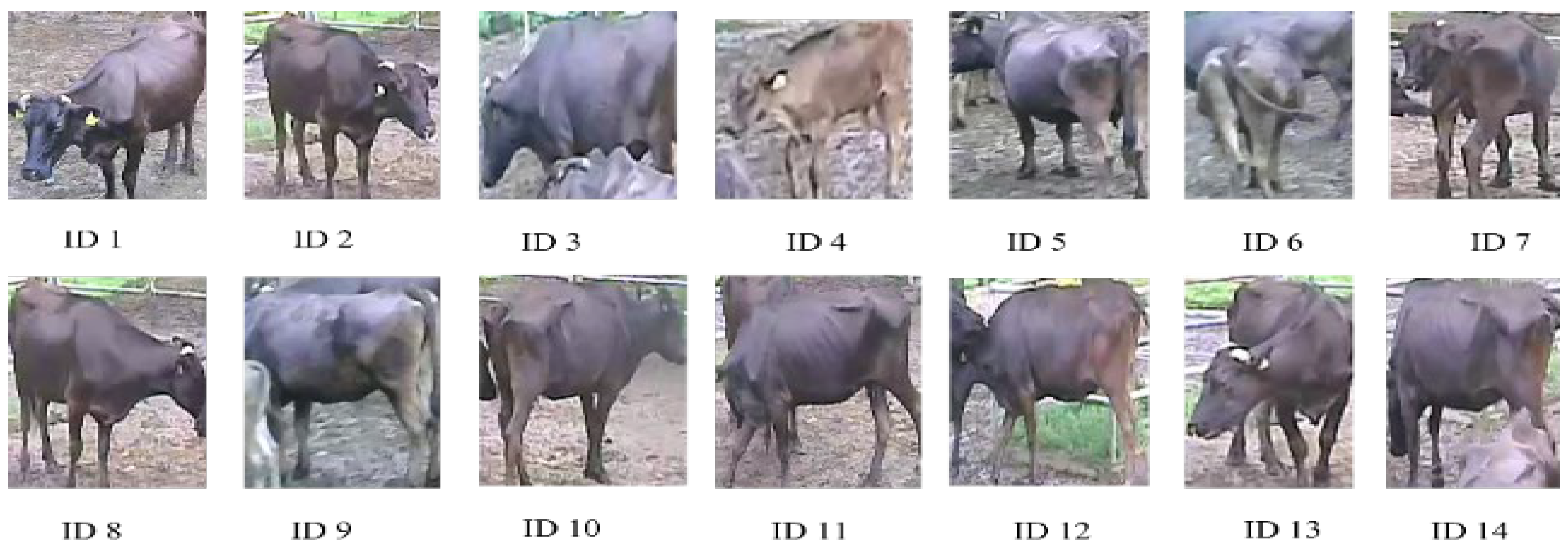 Sensors 23 00532 g006