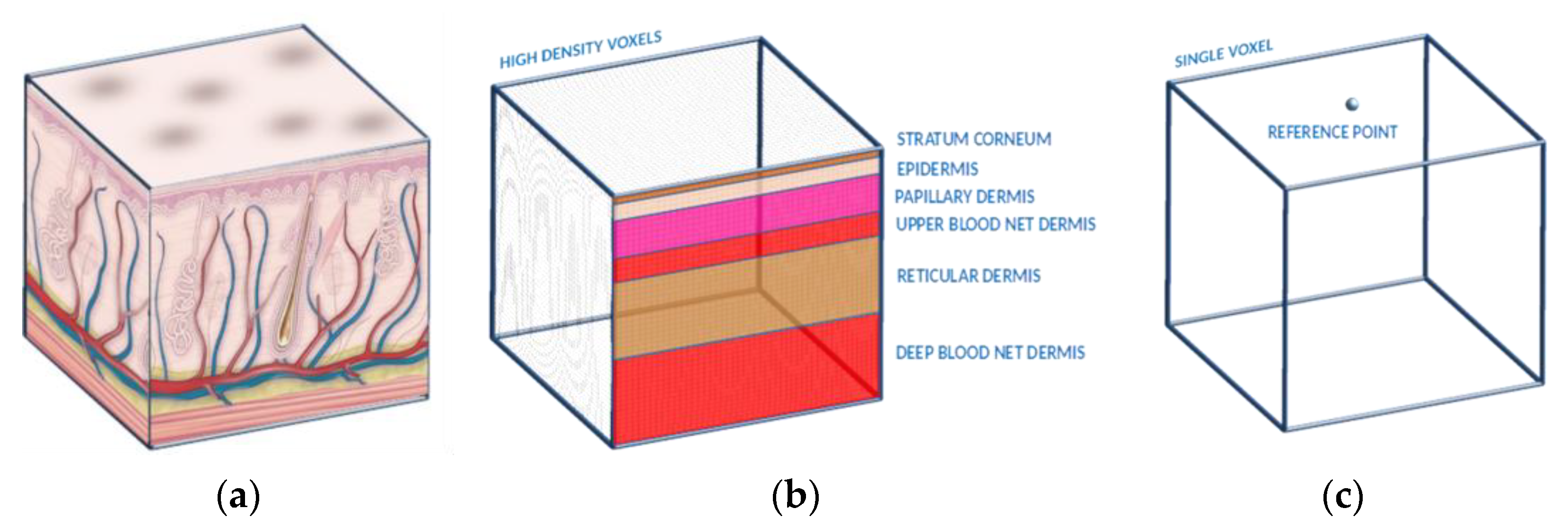 Sensors 23 00540 g003