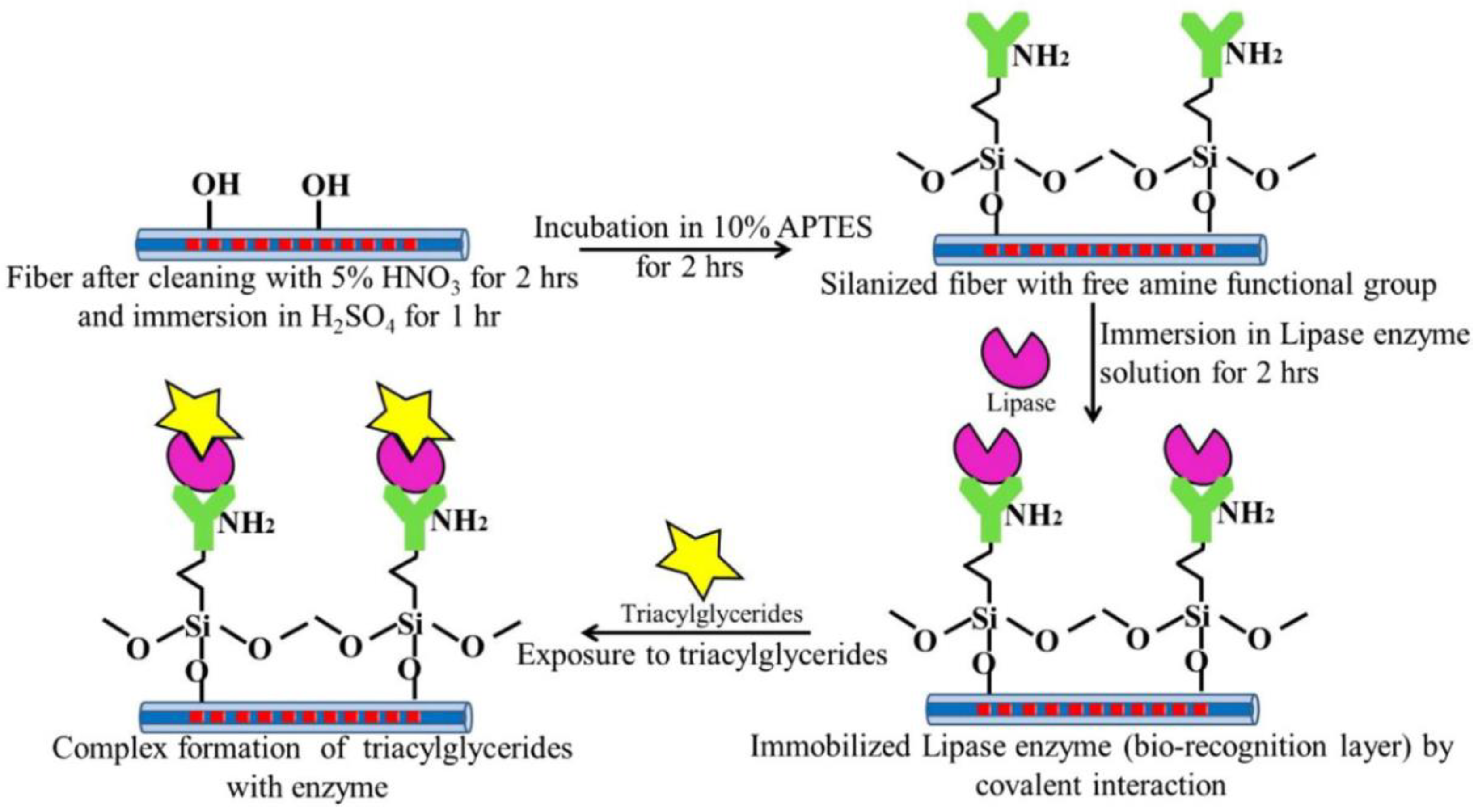 Sensors 23 00542 g009