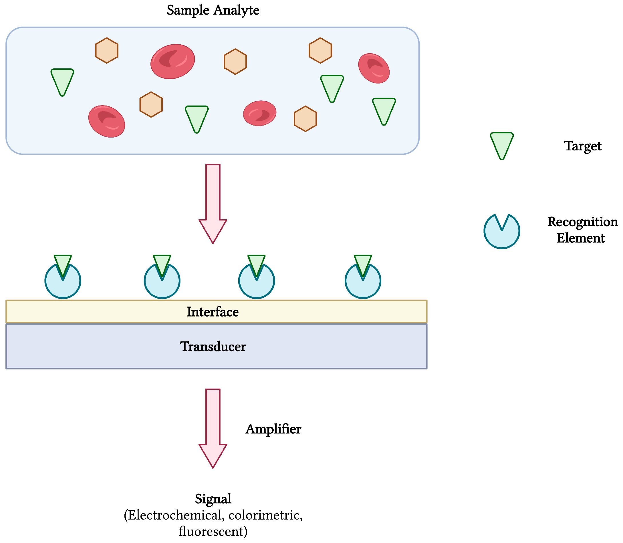 Sensors 23 00562 g001