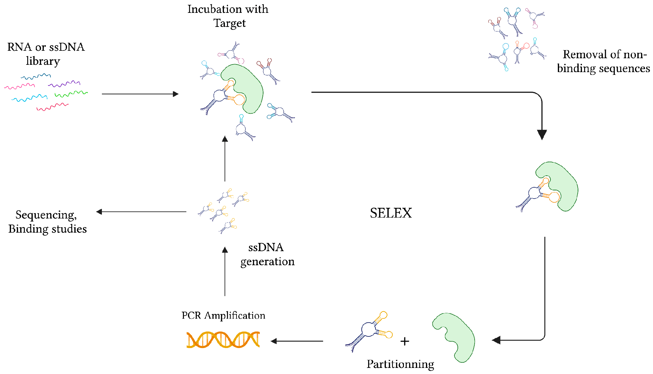 Sensors 23 00562 g002
