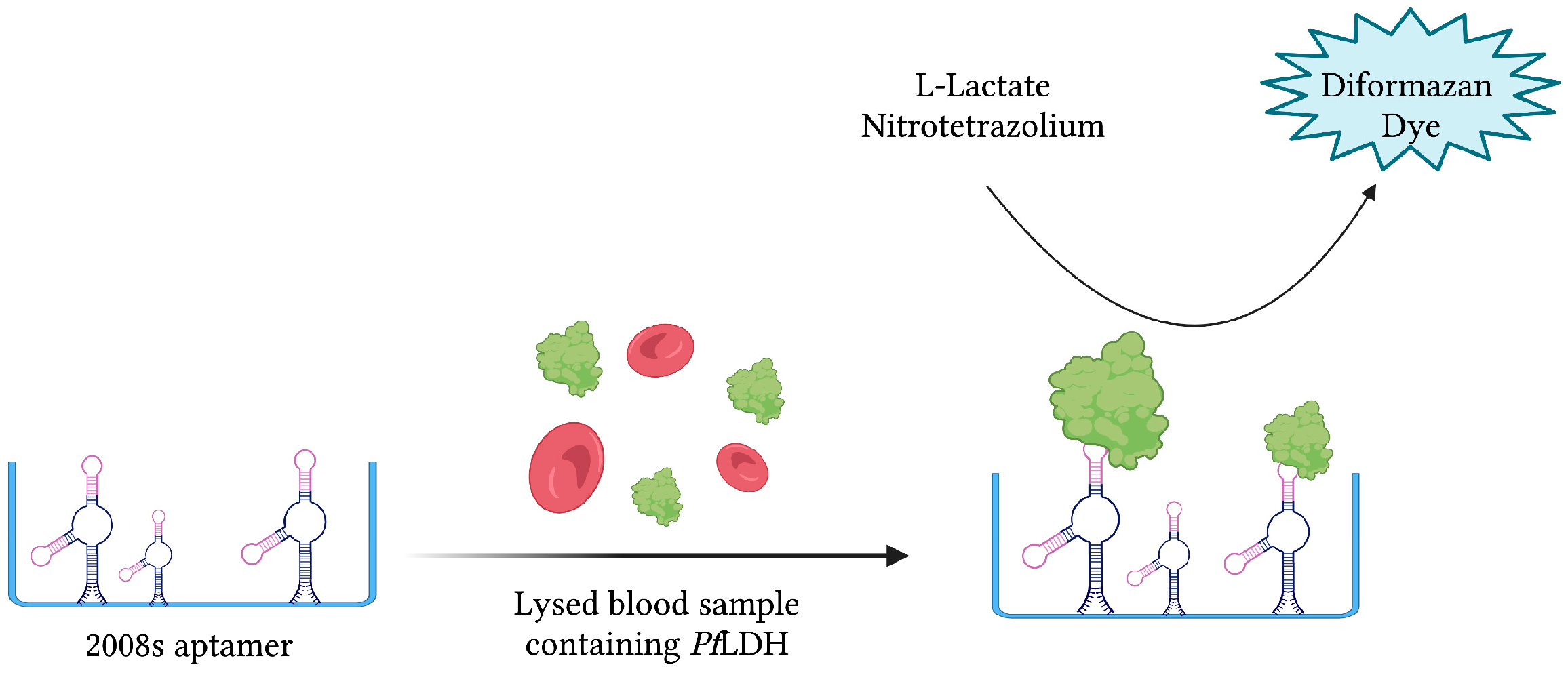 Sensors 23 00562 g008