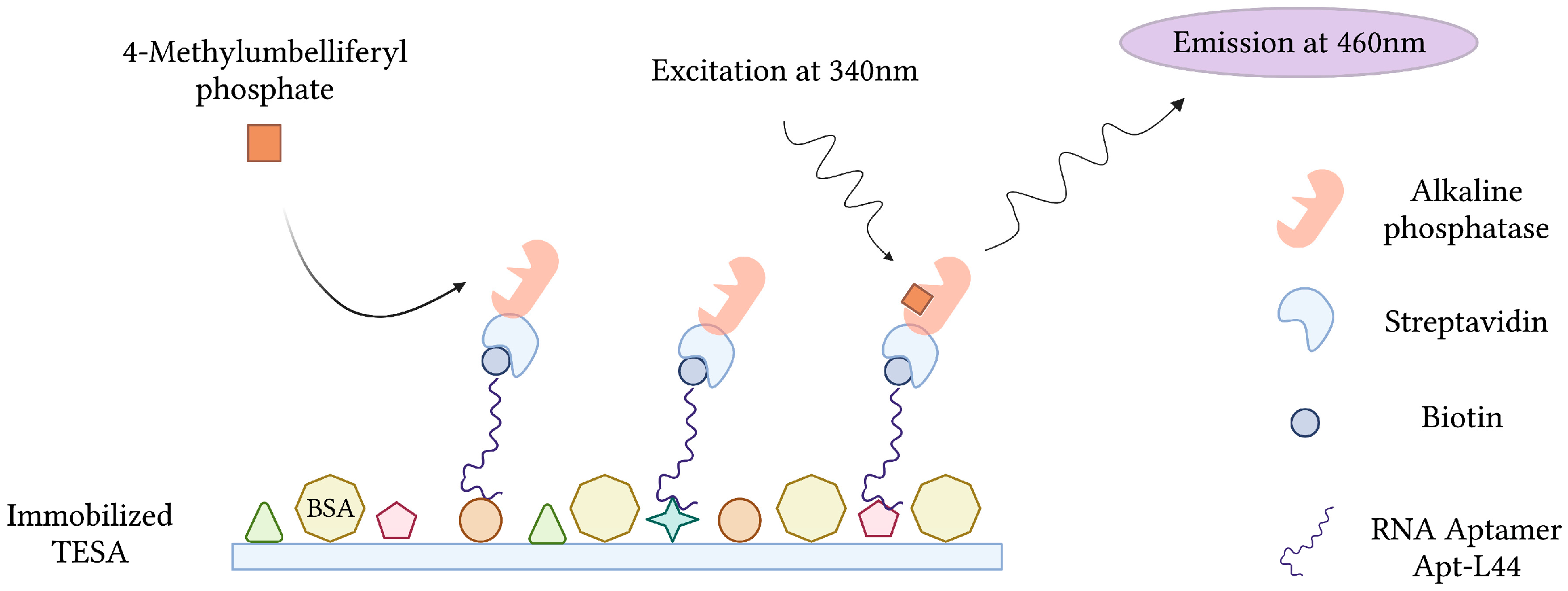 Sensors 23 00562 g009