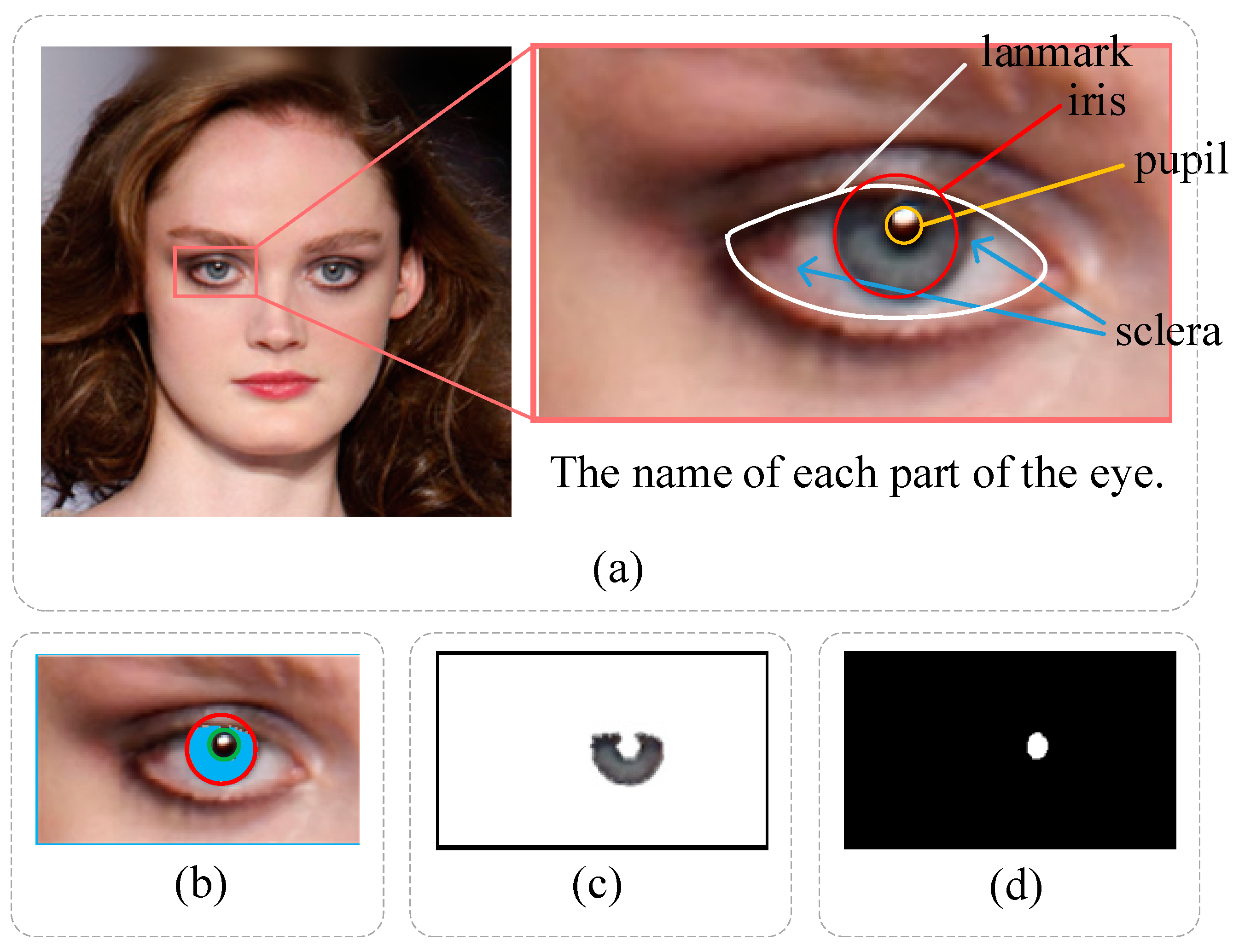 Sensors 23 00616 g003