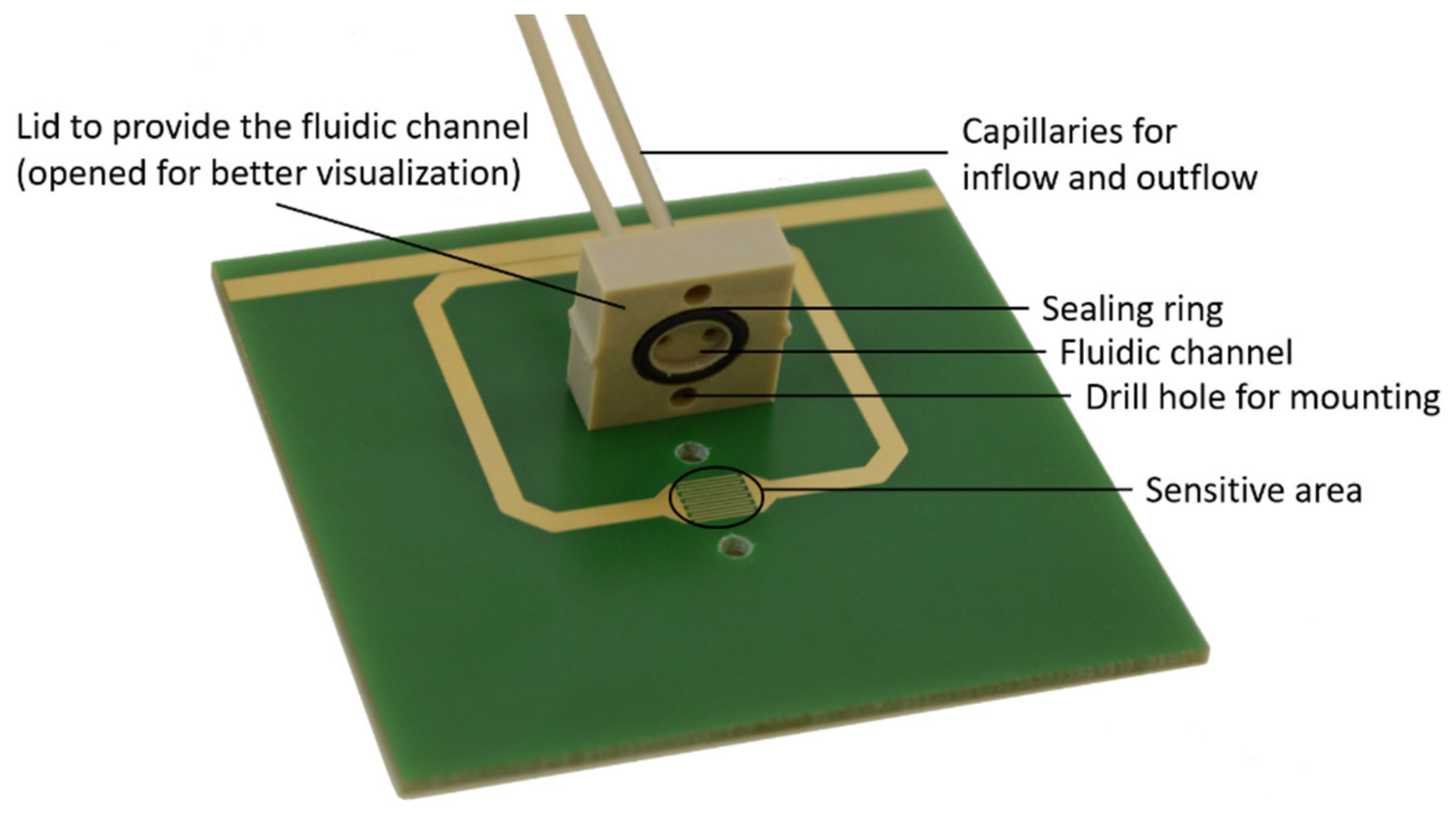 Sensors 23 00645 g002