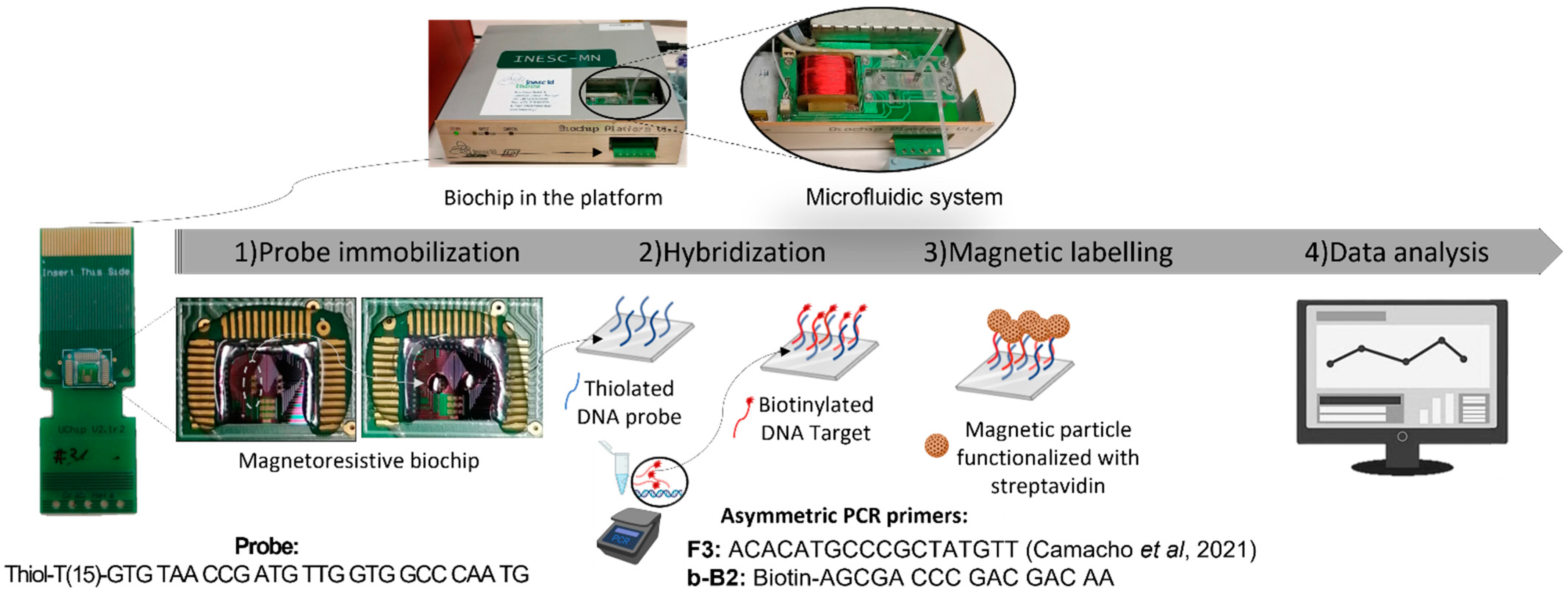 Sensors 23 00647 g001 Sensors 23 00647 g001