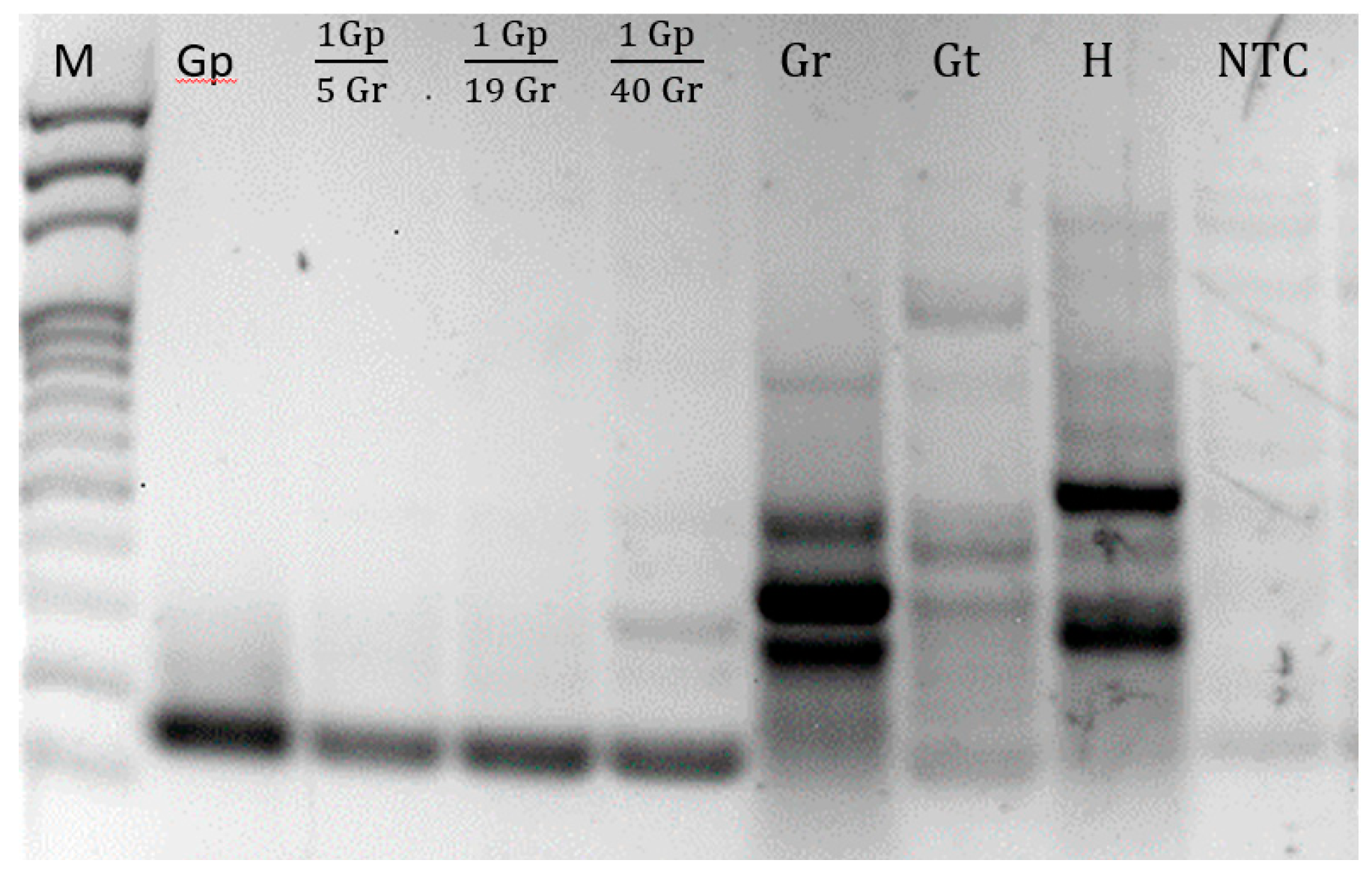 Sensors 23 00647 g003 Sensors 23 00647 g003