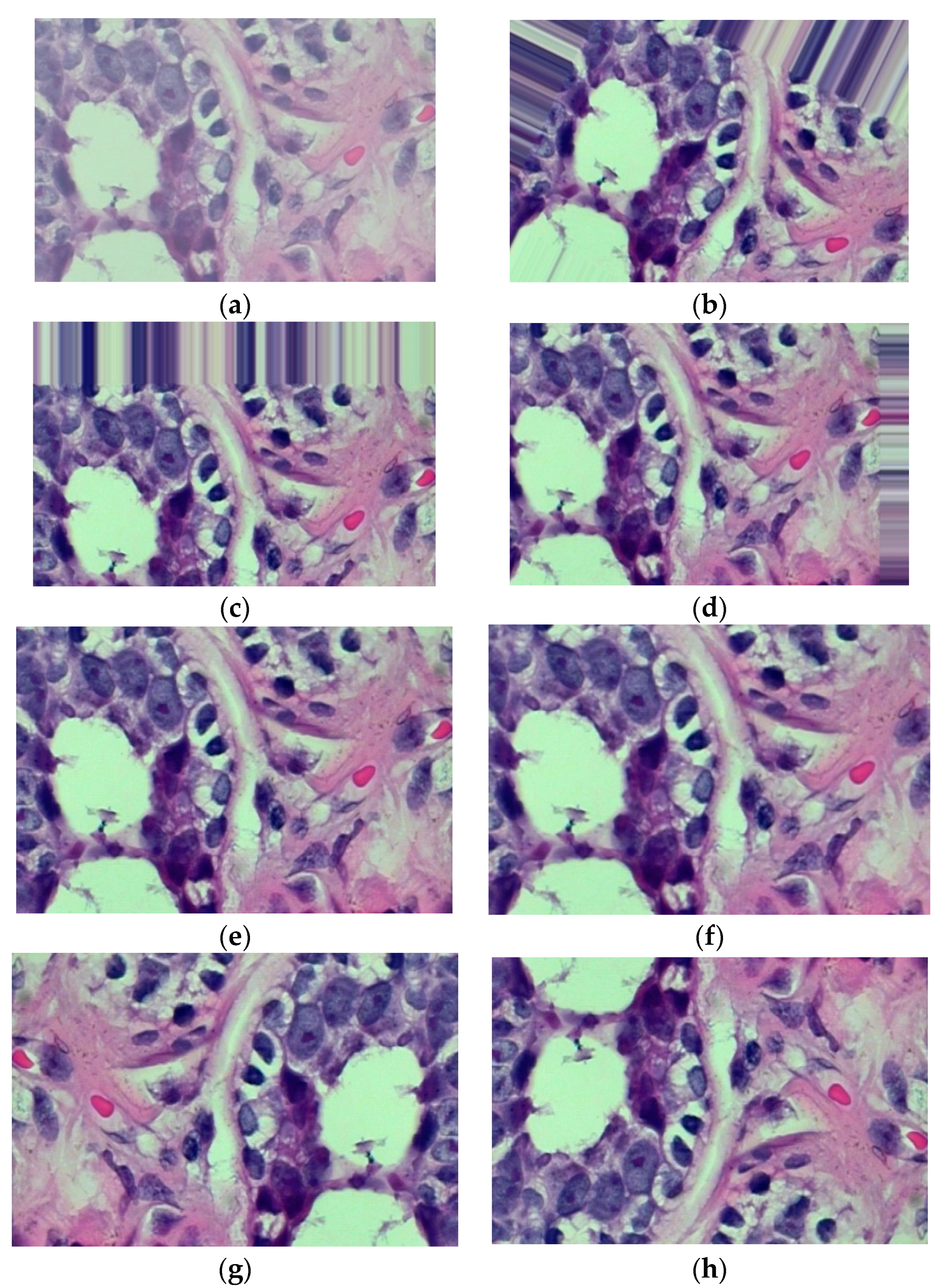 Sensors 23 00656 g001