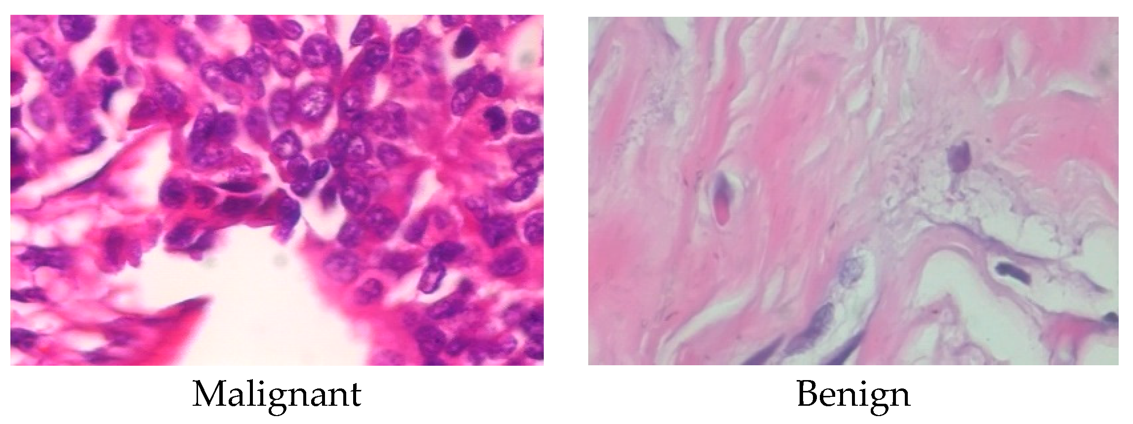 Sensors 23 00656 g003