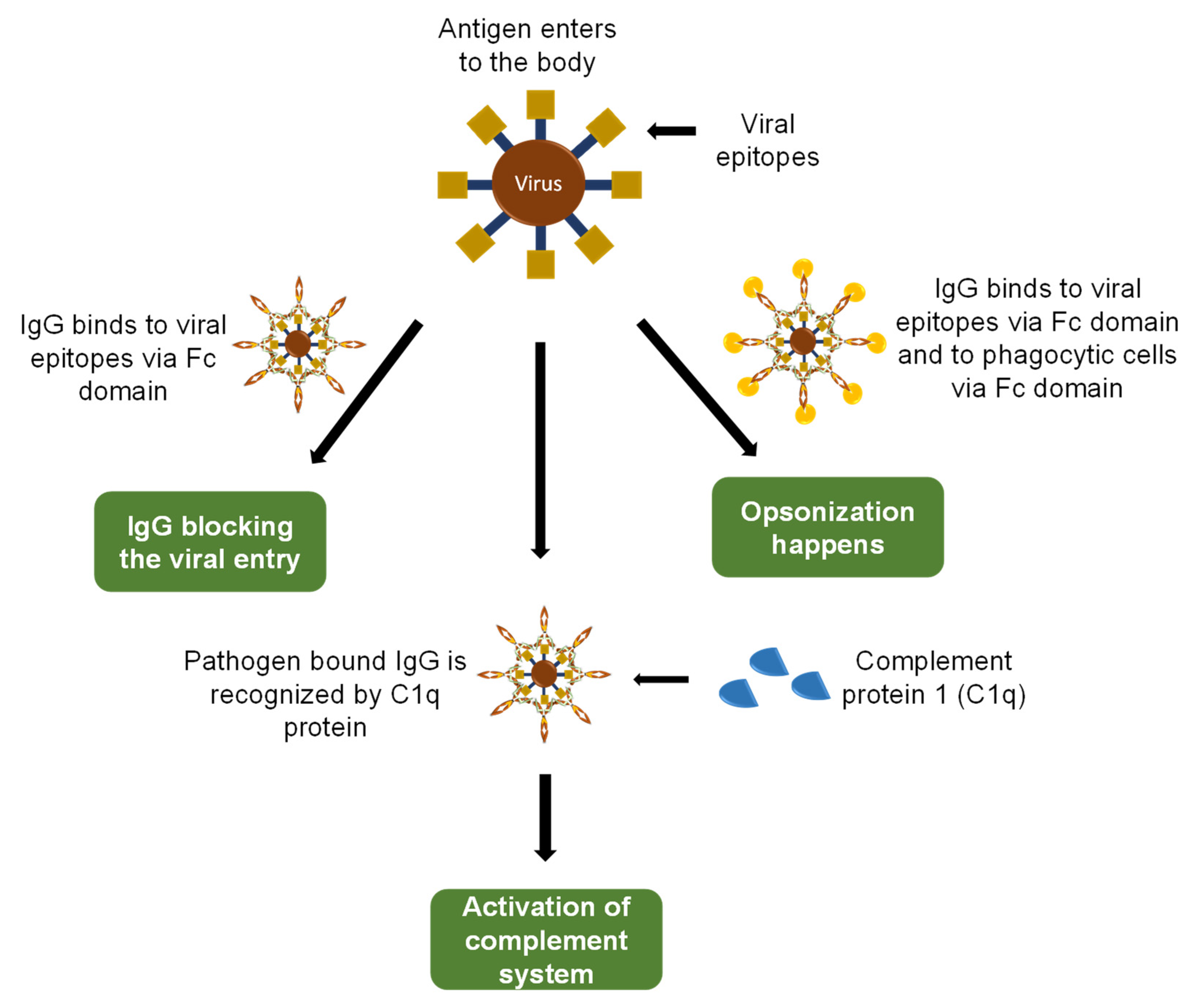 Sensors 23 00676 g003