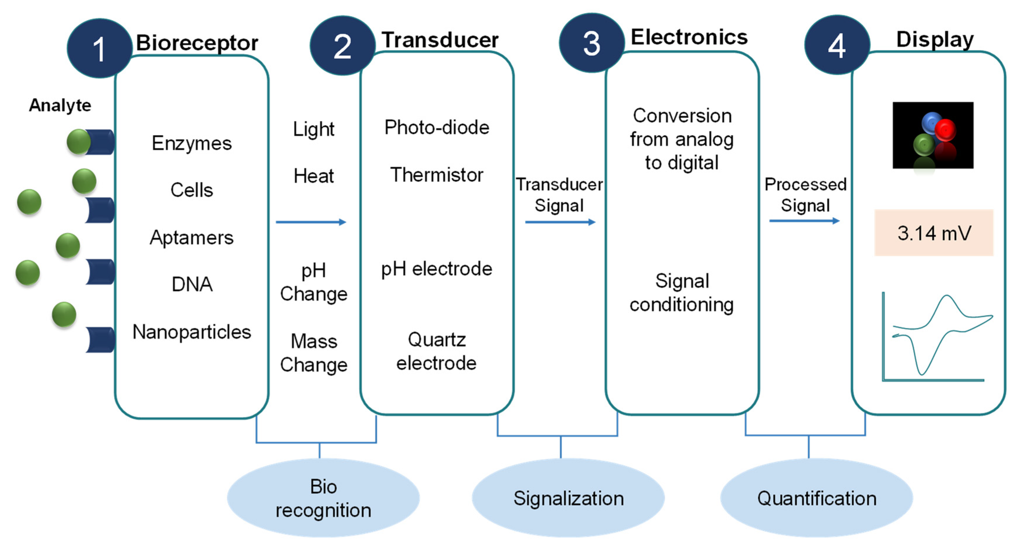 Sensors 23 00676 g006
