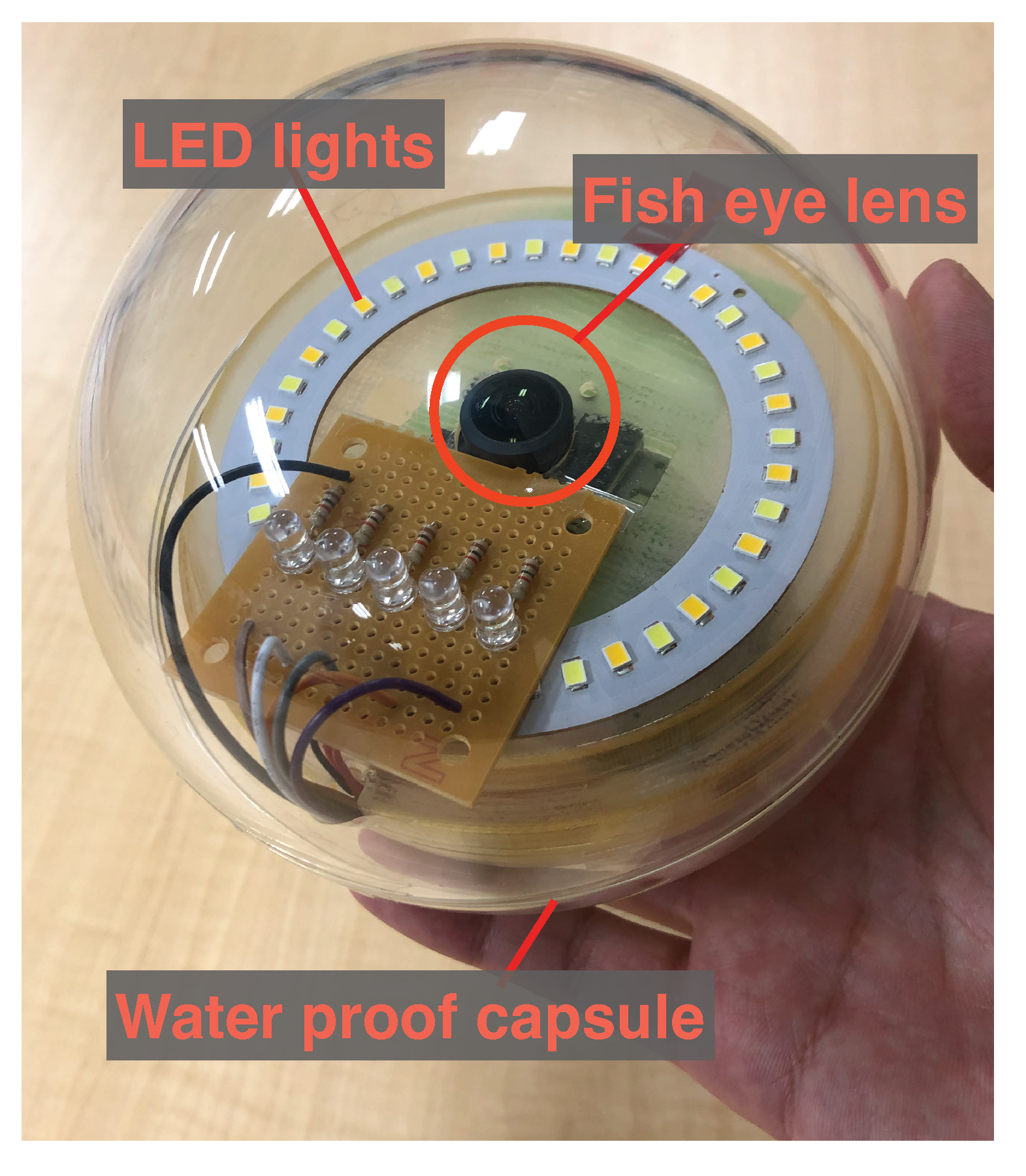 Sensors 23 00793 g002
