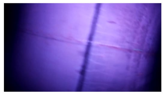 Sensors 23 00793 g008