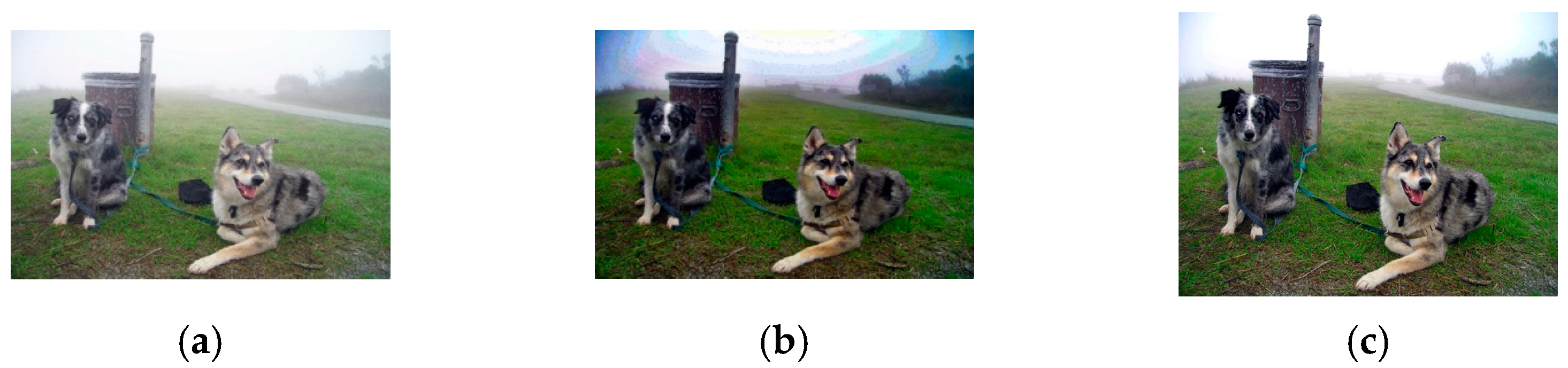 Sensors 23 00815 g002 Sensors 23 00815 g002