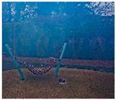 Sensors 23 00815 i143