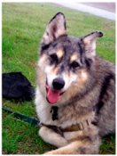 Sensors 23 00815 i173