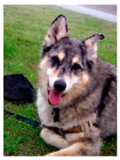 Sensors 23 00815 i174