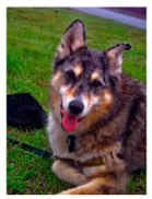 Sensors 23 00815 i175