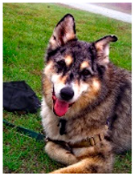 Sensors 23 00815 i176