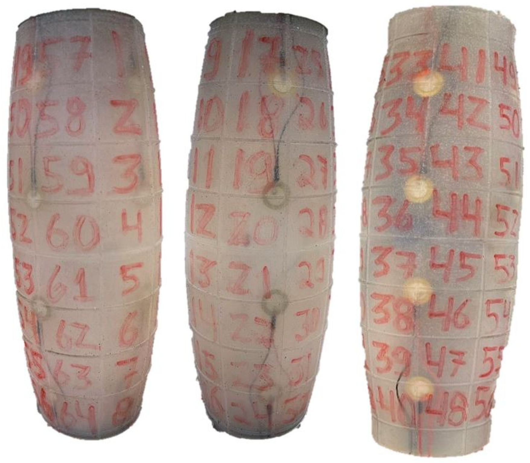 Sensors 23 00825 g005