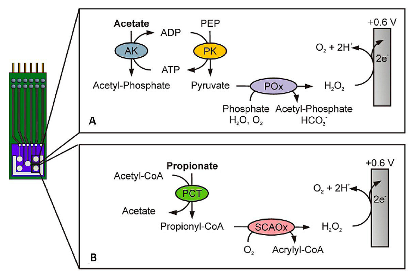 Sensors 23 00837 g002