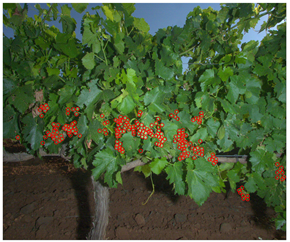 Sensors 23 00847 i001 Sensors 23 00847 i001