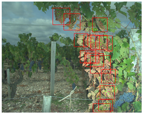 Sensors 23 00847 i002 Sensors 23 00847 i002