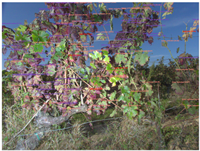 Sensors 23 00847 i004 Sensors 23 00847 i004