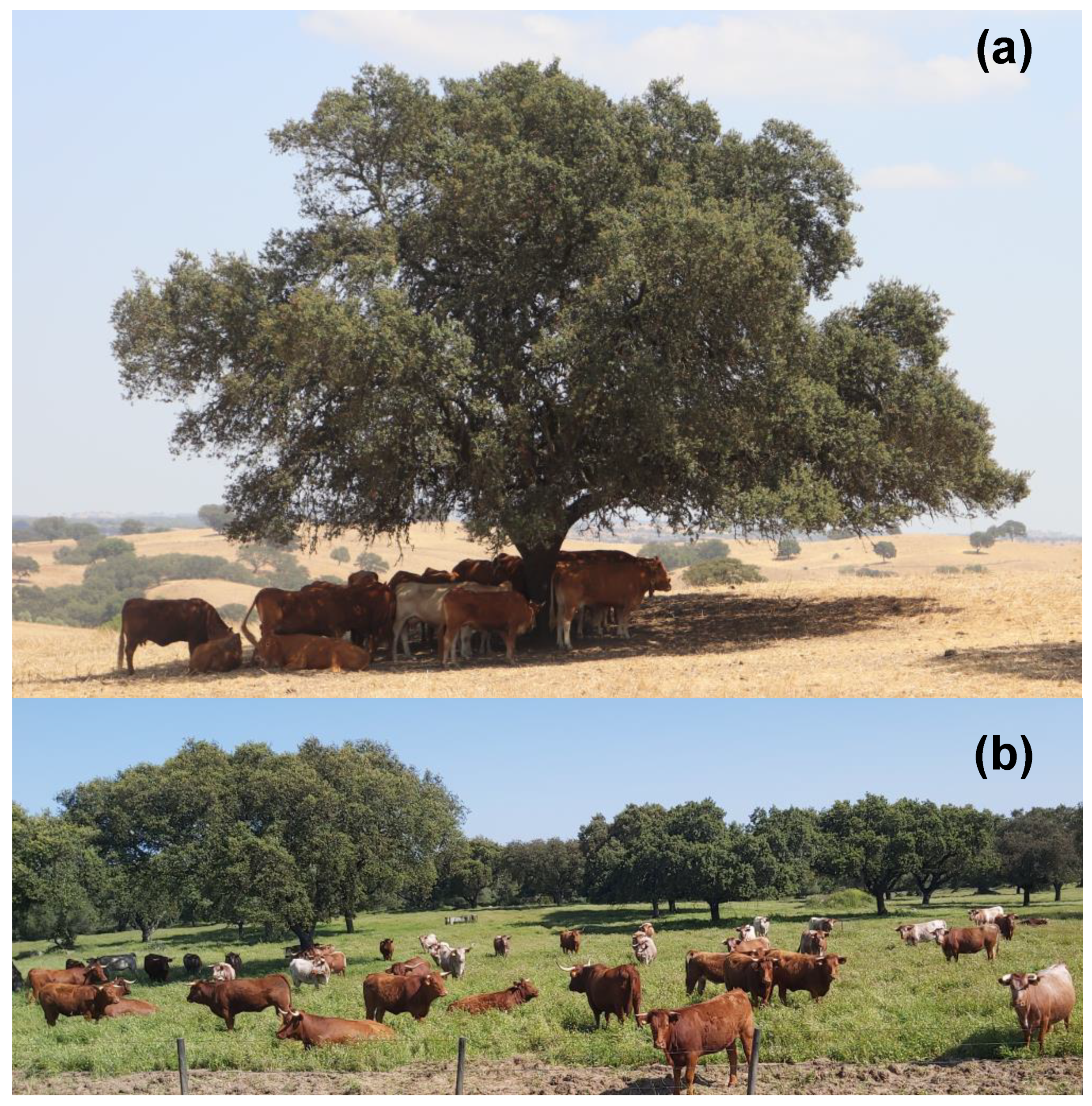 Sensors 23 00888 g005