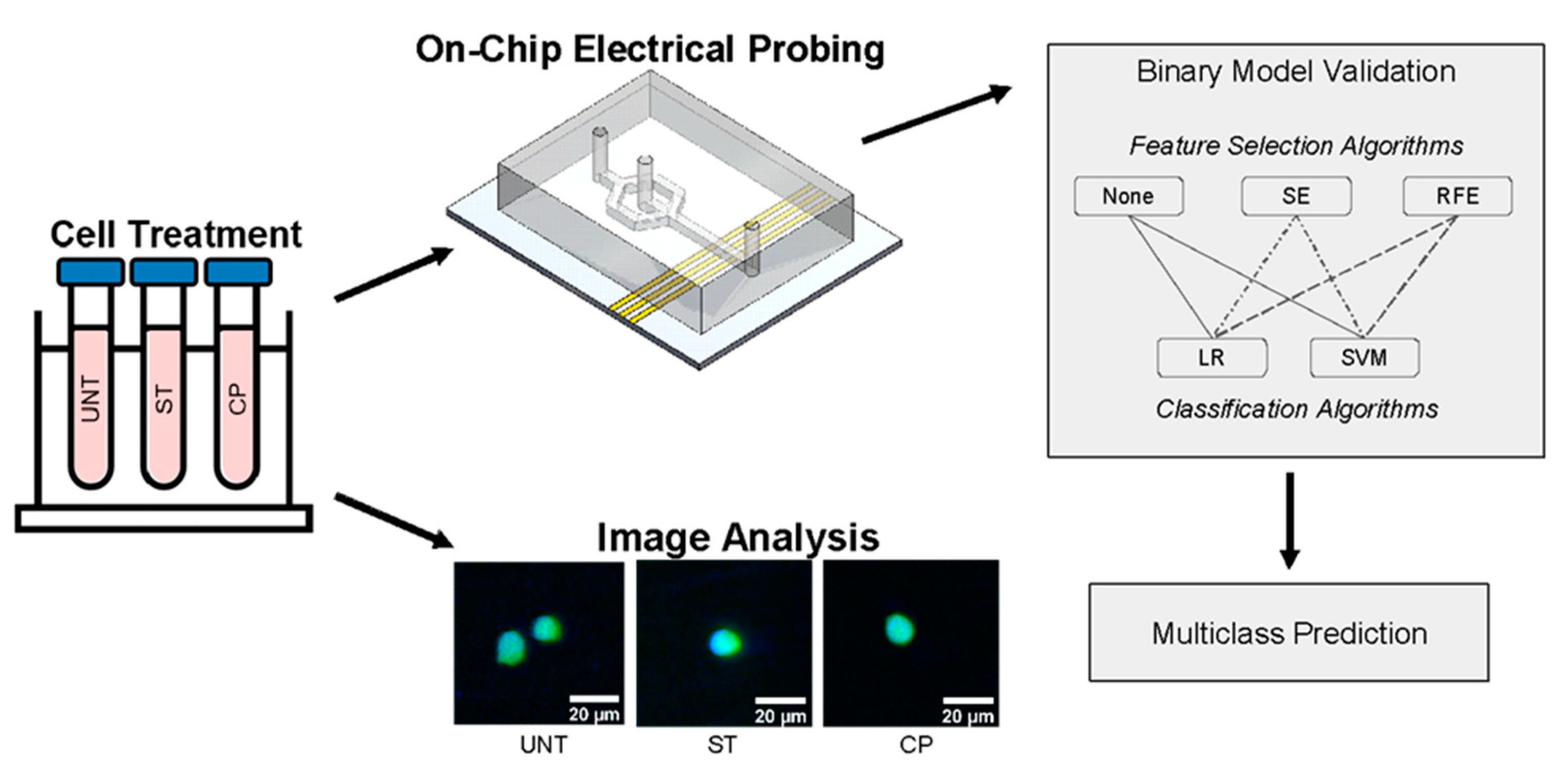 Sensors 23 01001 g001