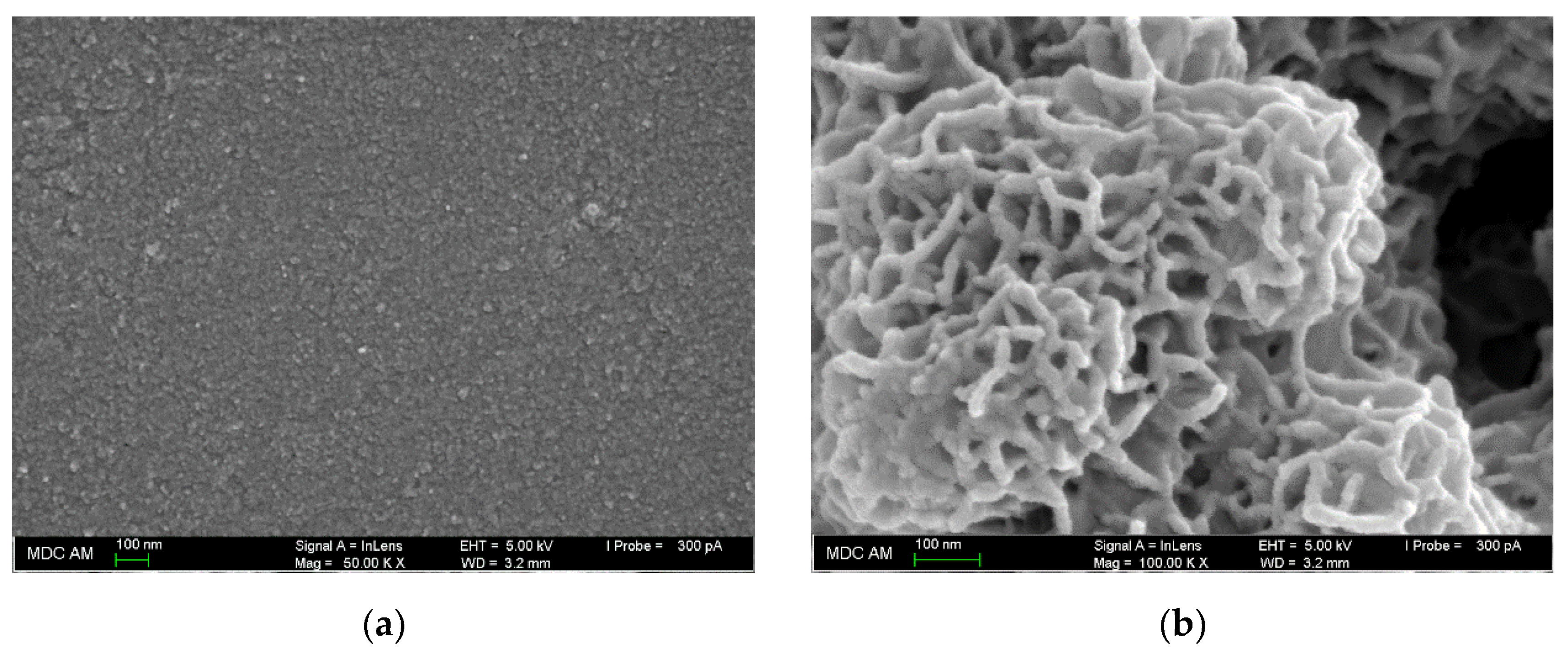 Sensors 23 01094 g003