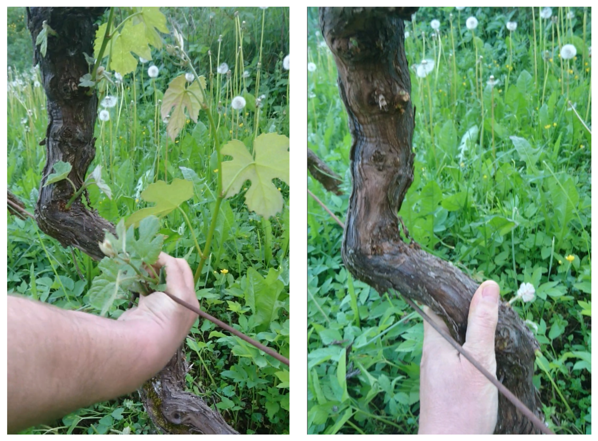 Sensors 23 01195 g001