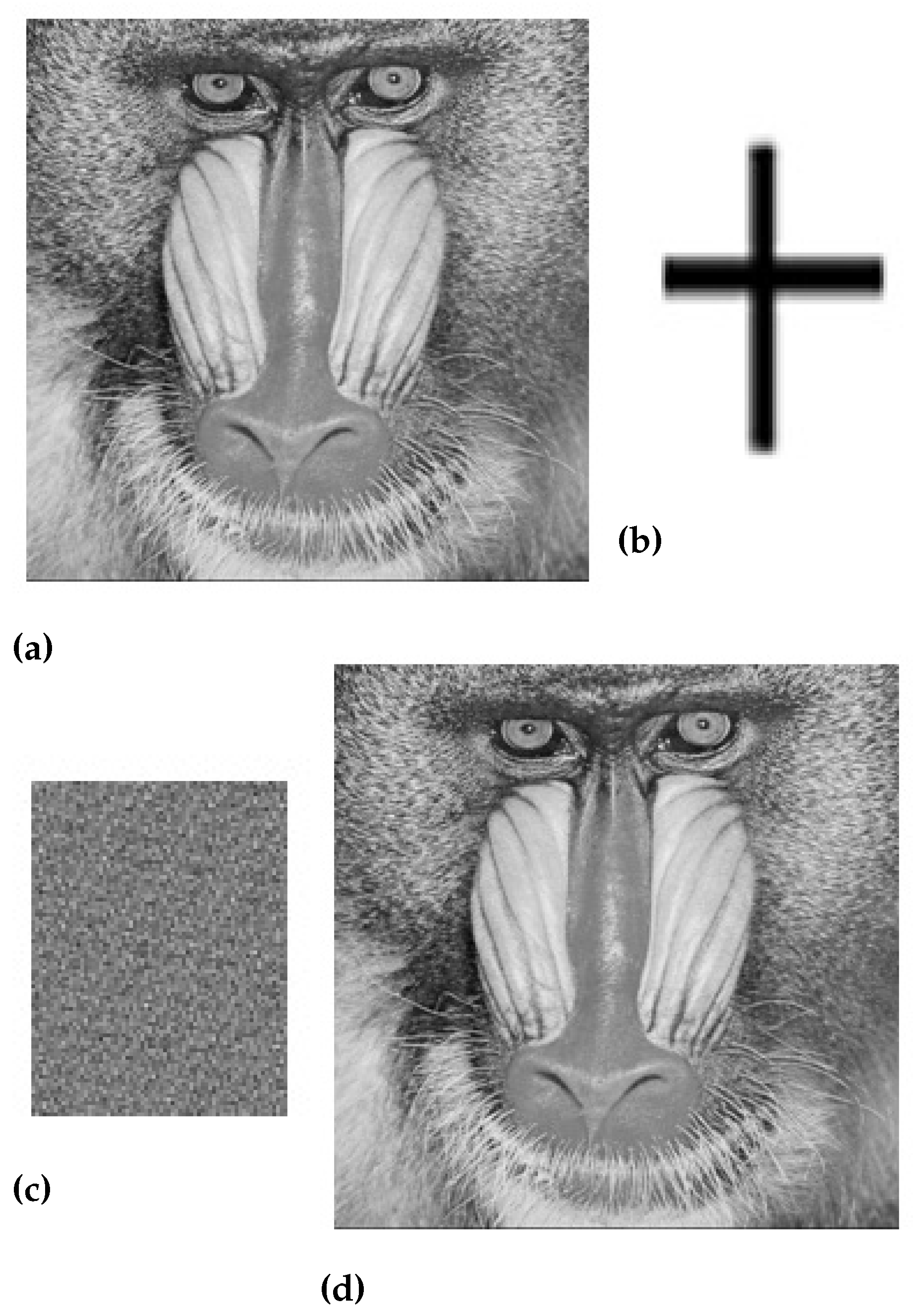 Sensors 23 01210 g008