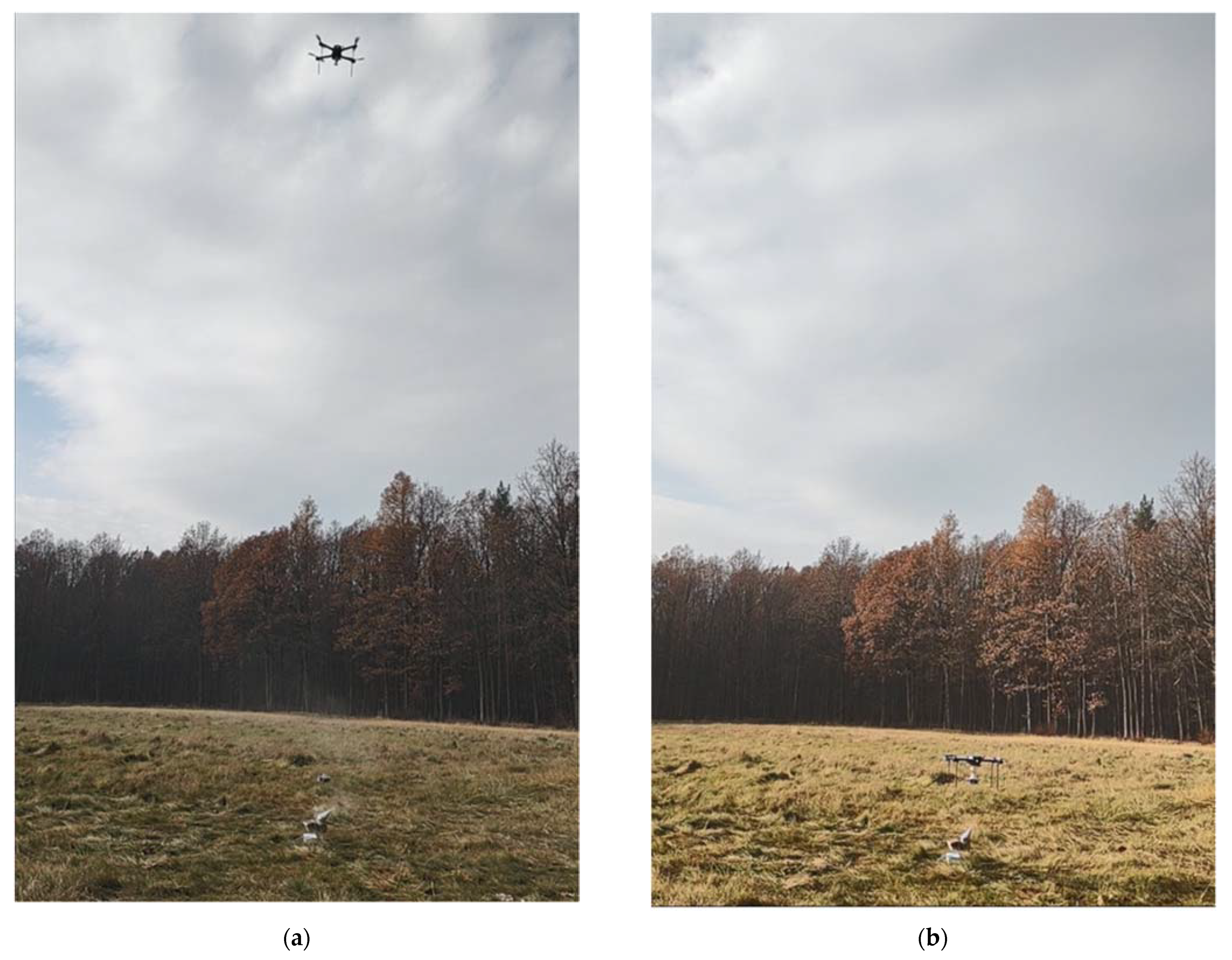 Sensors 23 01253 g012 Sensors 23 01253 g012