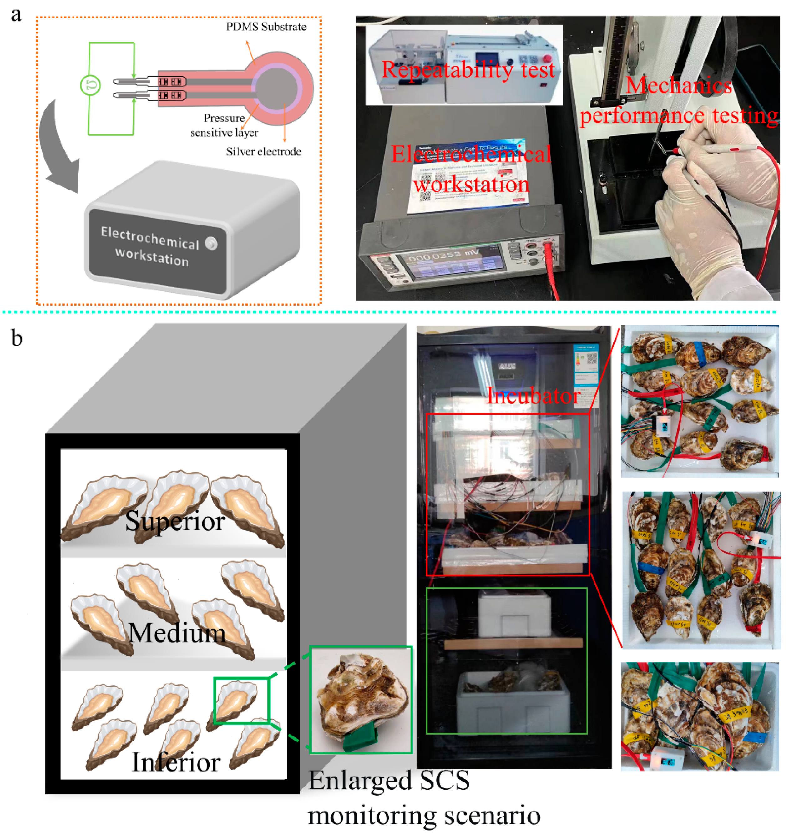 Sensors 23 01308 g006