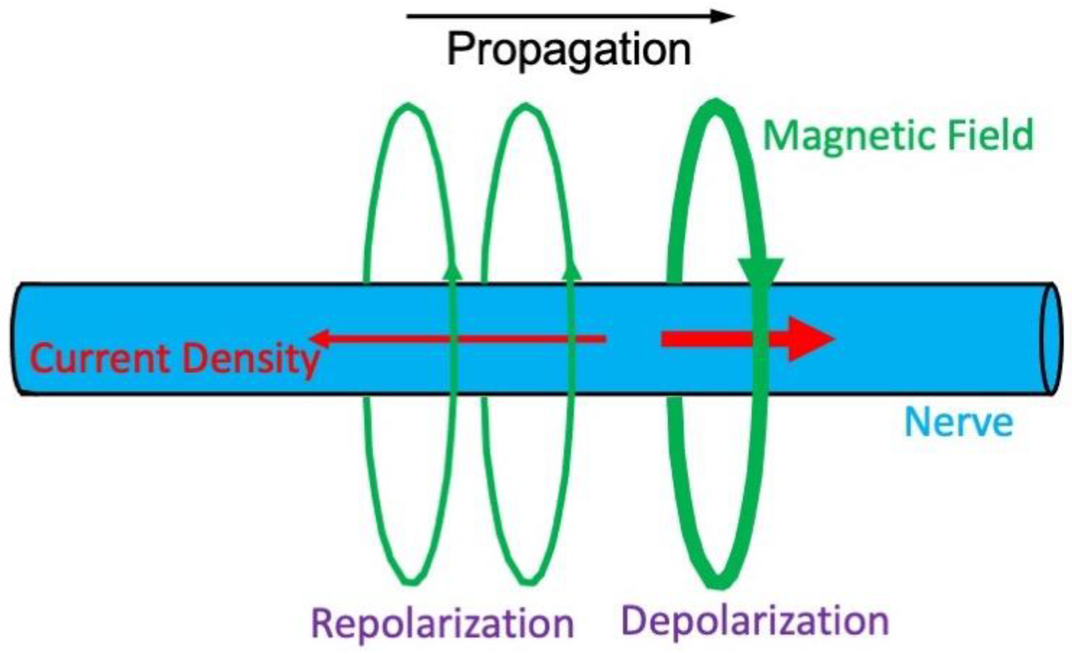Sensors 23 01337 g002
