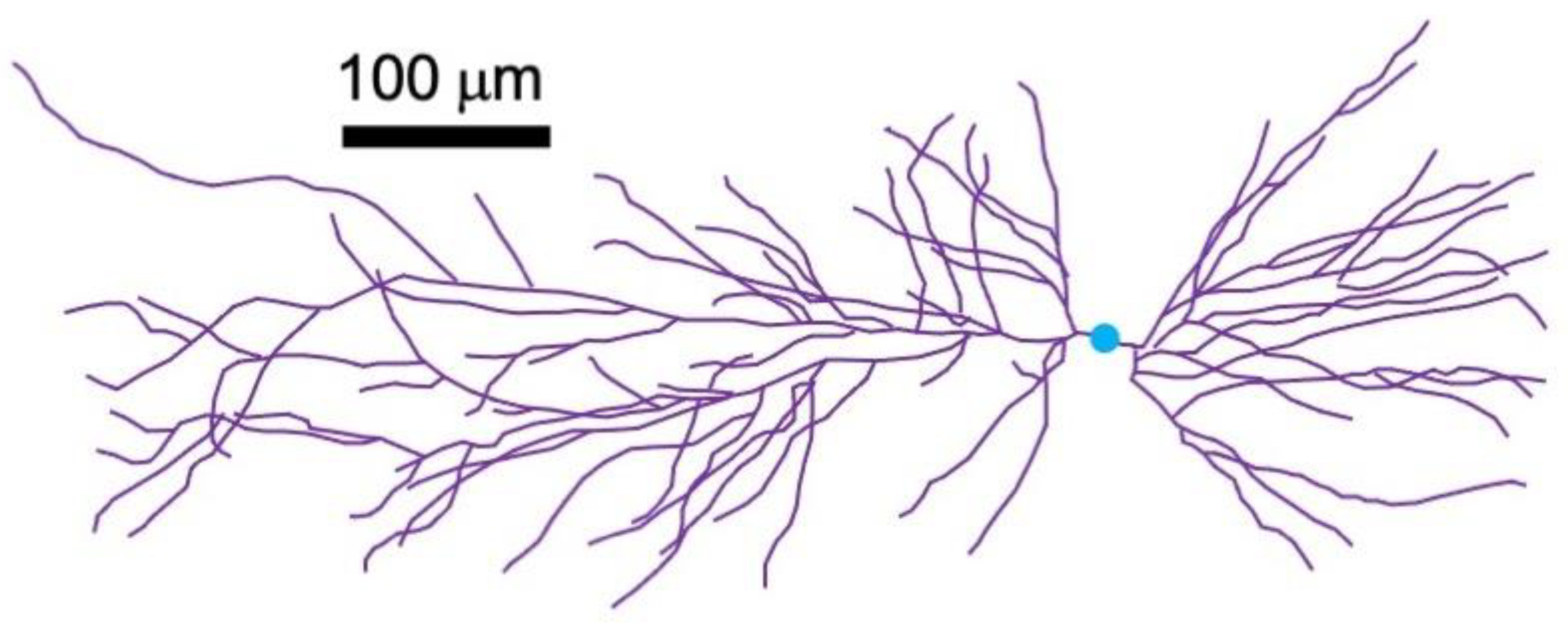 Sensors 23 01337 g008